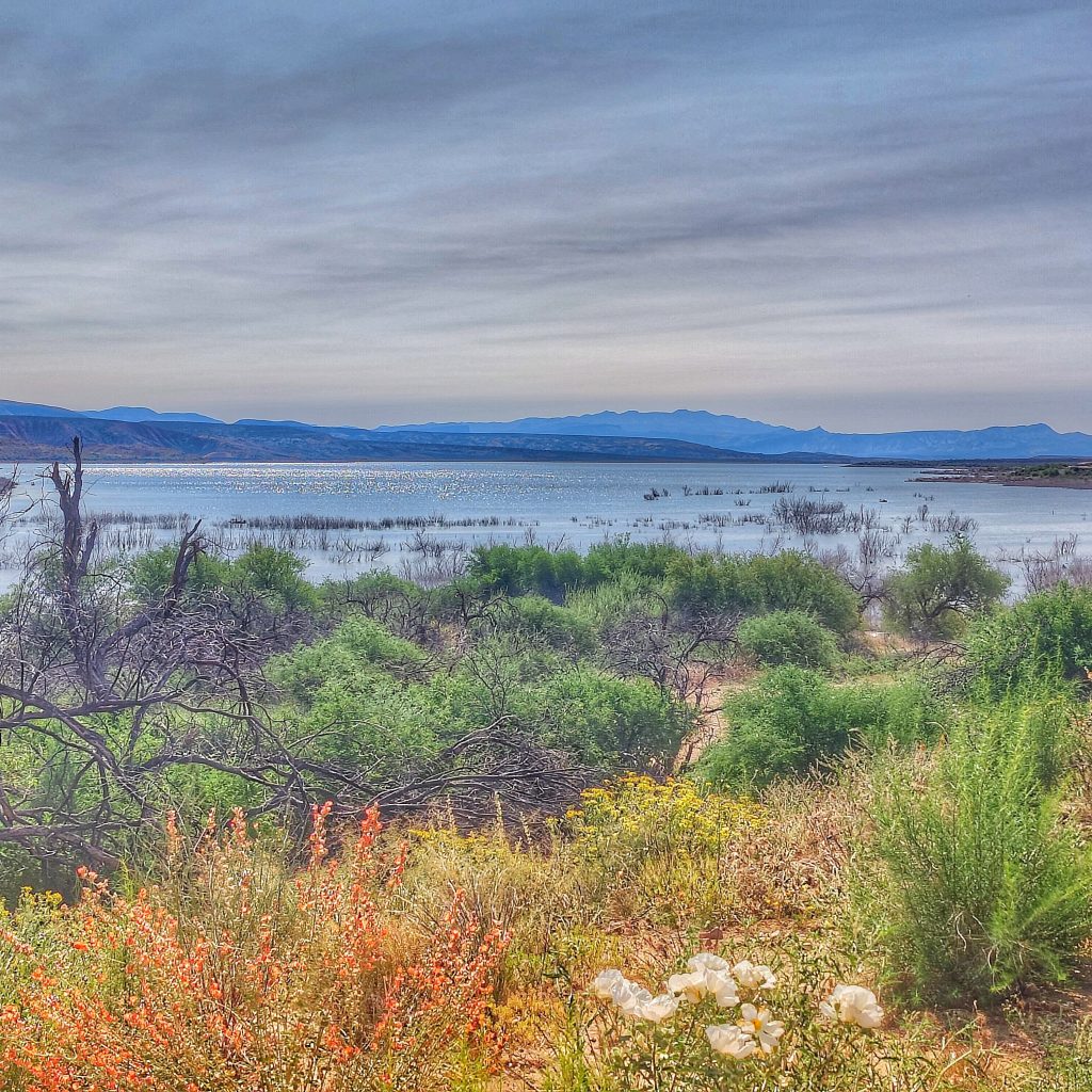 Hiking and Real Estate Roosevelt Lake Living In Phoenix